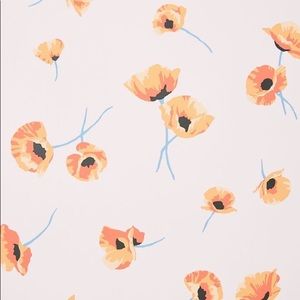 Meet your Posher, Jaylei